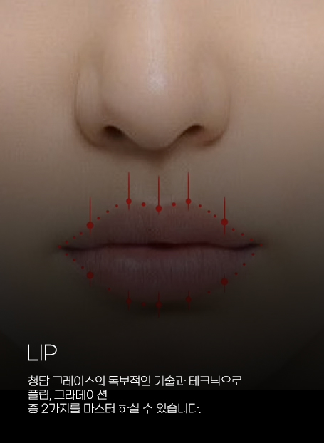 커리큘럼 립