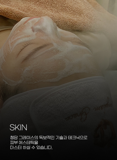 커리큘럼 스킨