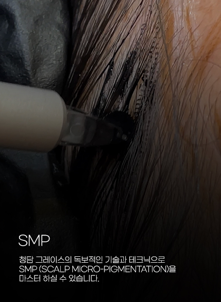 커리큘럼 SMP