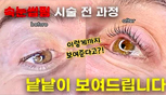 청담그레이스 유튜브
